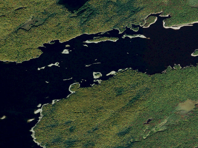 Aerial image of Campsite 36 (Independence River Wild Forest)