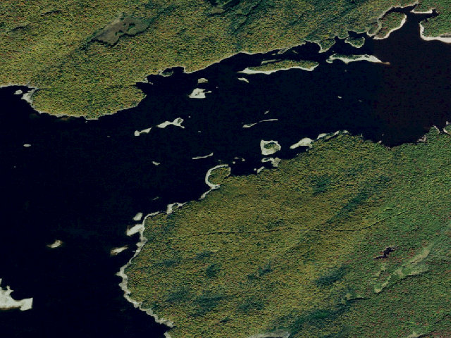 Aerial image of Campsite 37 (Independence River Wild Forest)