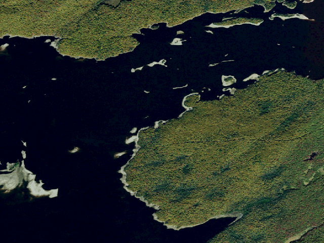 Aerial image of Campsite 38 (Independence River Wild Forest)