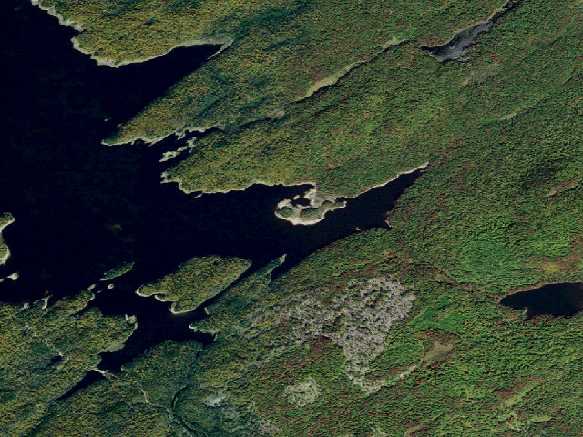 Aerial image of Campsite 39 (Independence River Wild Forest)