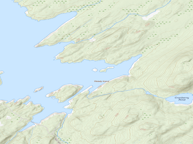 USGS topographic map of Campsite 39 (Independence River Wild Forest)