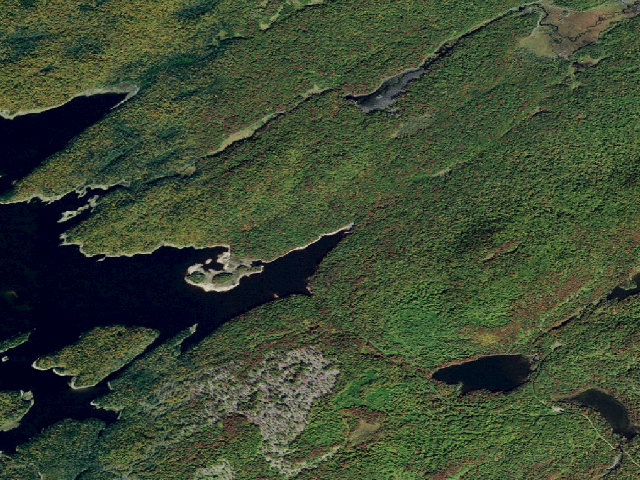 Aerial image of Campsite 40 (Independence River Wild Forest)