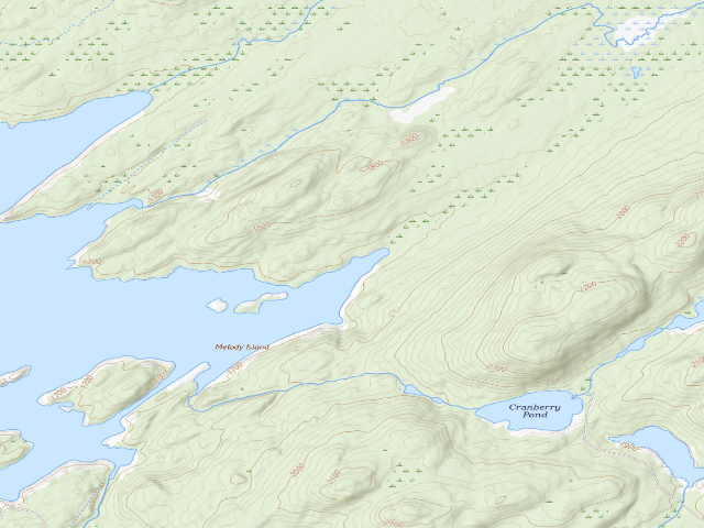 USGS topographic map of Campsite 40 (Independence River Wild Forest)
