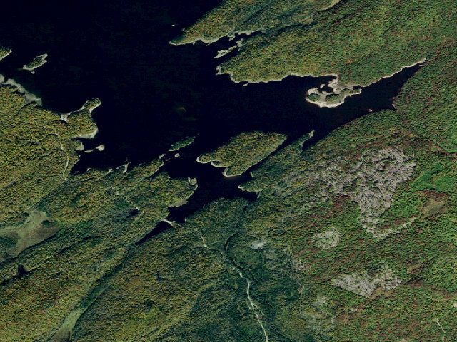 Aerial image of Campsite 41 (Independence River Wild Forest)