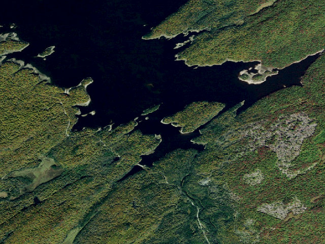 Aerial image of Campsite 42 (Independence River Wild Forest)