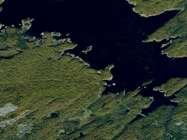 Aerial image of Campsite 43 (Independence River Wild Forest)