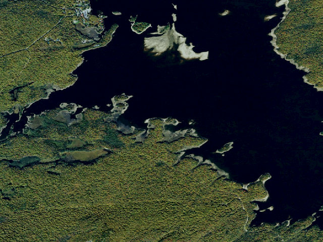 Aerial image of Campsite 45 (Independence River Wild Forest)