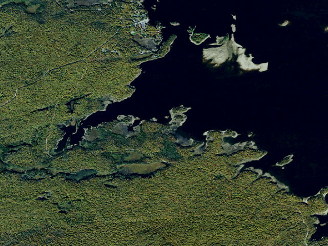 Aerial image of Campsite 46 (Independence River Wild Forest)