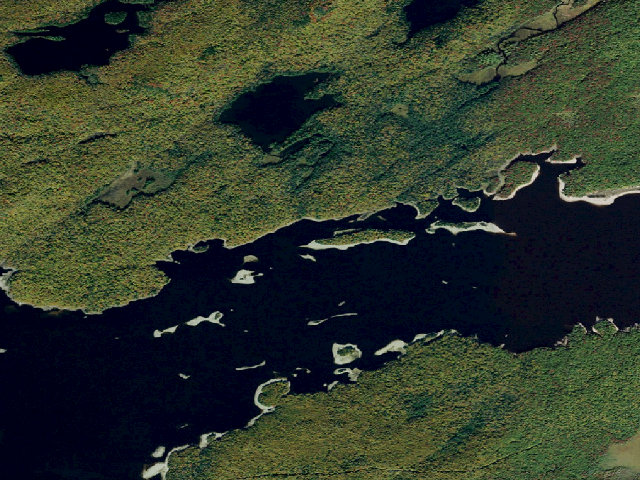 Aerial image of Campsite 5 (Independence River Wild Forest)