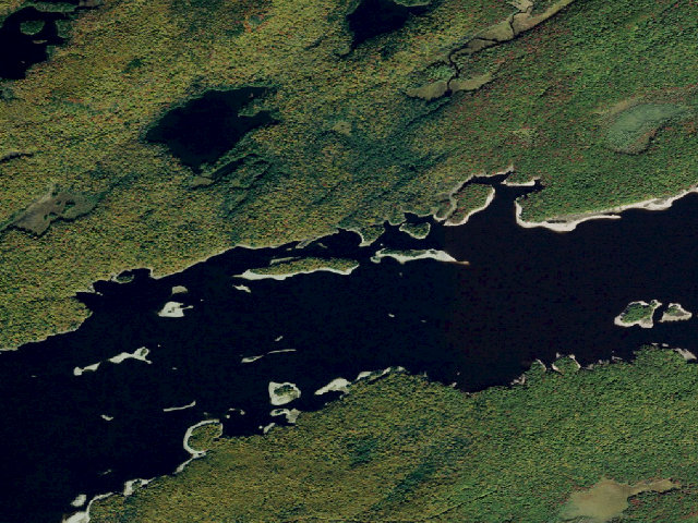 Aerial image of Campsite 6 (Independence River Wild Forest)