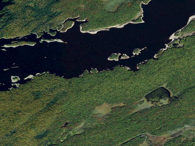 Aerial image of Campsite 7 (Independence River Wild Forest)