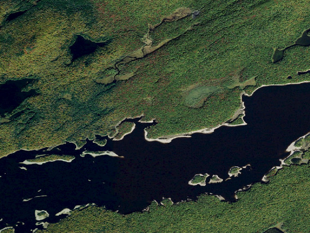 Aerial image of Campsite 8 (Five Ponds Wilderness)
