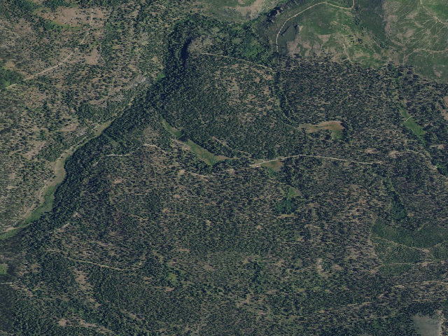 Aerial image of Can Springs Forest Camp