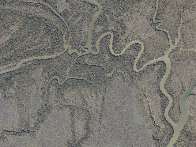 Aerial image of Canal Island floating camping platform (Bartram Canoe Trail, Upper Mobile-Tensaw Delta)