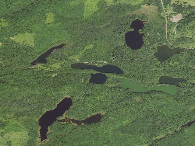 Aerial image of Canal Lake Site #1