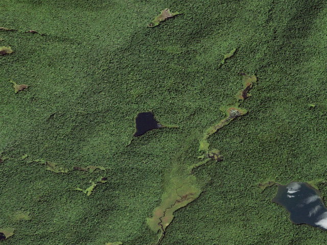 Aerial image of Canary Pond Campsite (Silver Lake Wilderness)