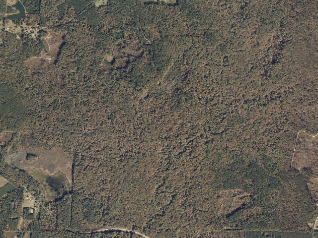 Aerial image of Caney Creek WMA camp site 1