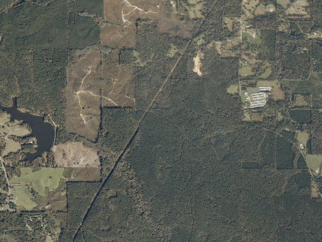Aerial image of Caney Creek WMA camp site 2