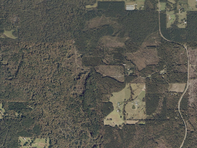 Aerial image of Caney Creek WMA camp site 3