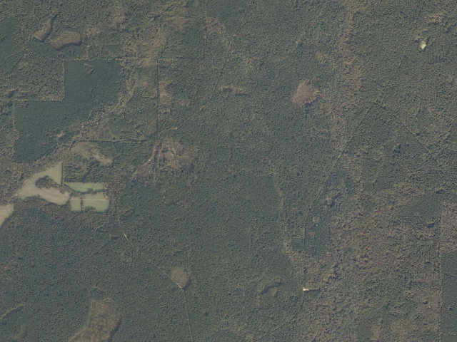 Aerial image of Caney Creek WMA camp site 4