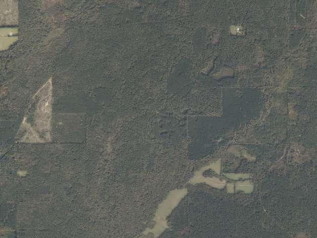 Aerial image of Caney Creek WMA camp site 5