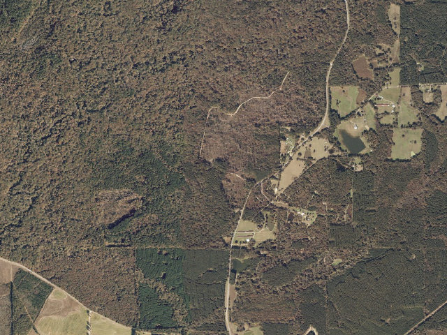Aerial image of Caney Creek WMA camp site 6