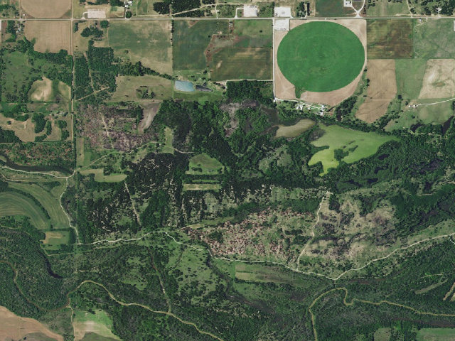 Aerial image of Canton WMA primitive camp #2