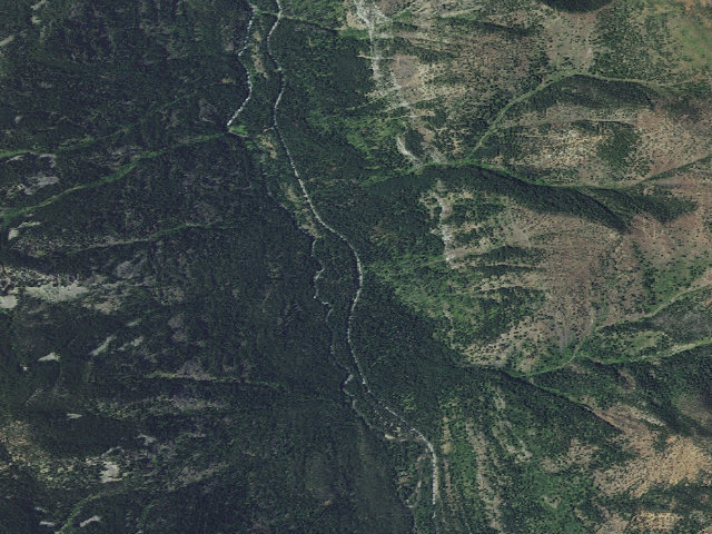 Aerial image of Canyon Forest Camp