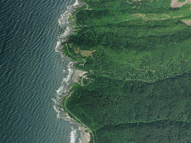 Aerial image of Cape Perpetua Campground And Group Campground
