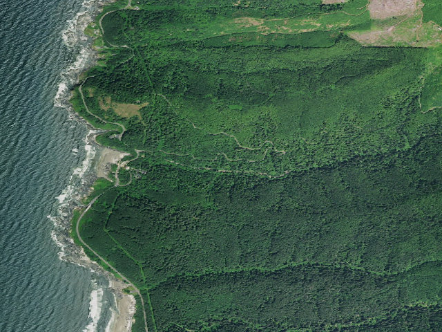 Aerial image of Cape Perpetua Campground