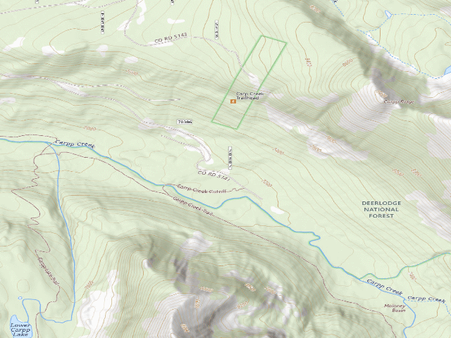 USGS topographic map of Carpp Creek-002