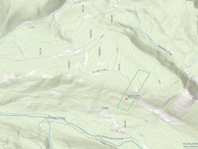 USGS topographic map of Carpp Creek-006