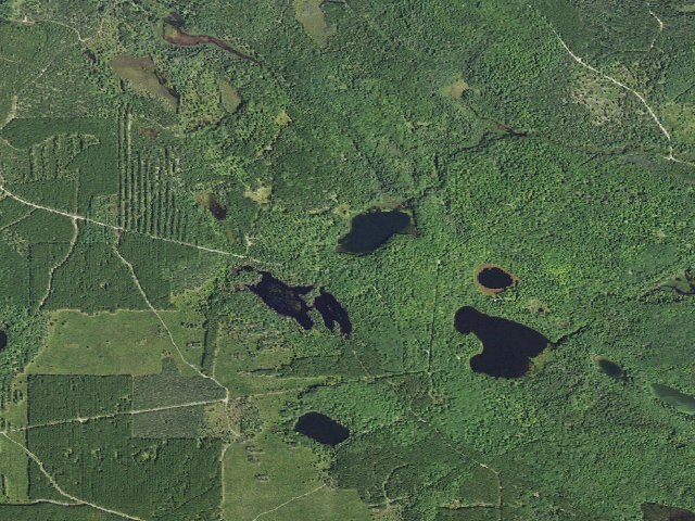 Aerial image of Carr Lake Camping Area