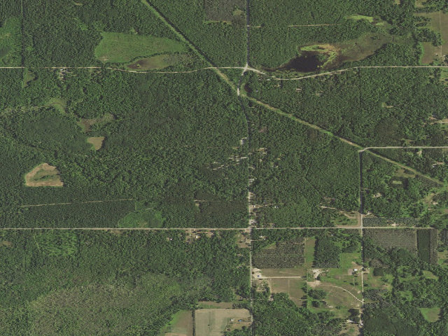 Aerial image of Carrieville State Forest Campground