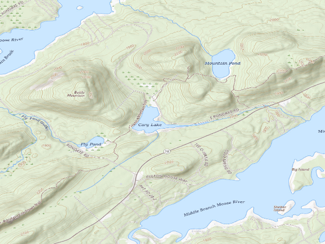 USGS topographic map of Cary Lake Campsite (Fulton Chain Wild Forest)