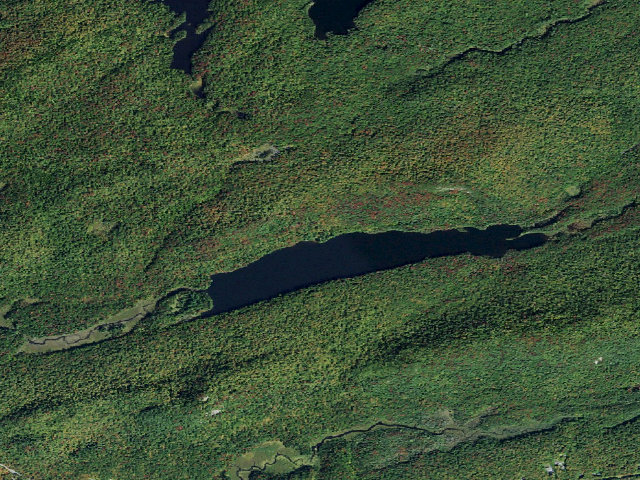 Aerial image of Cascade Lake Designated Campsite #2 [DEC #19083] (Pigeon Lake Wilderness)