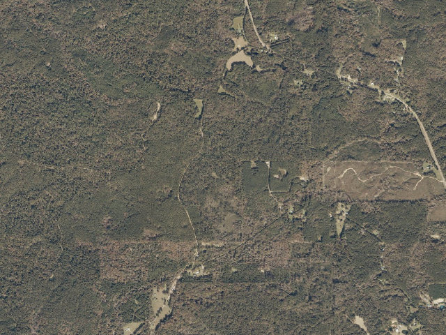 Aerial image of Caston Creek WMA camp site 1