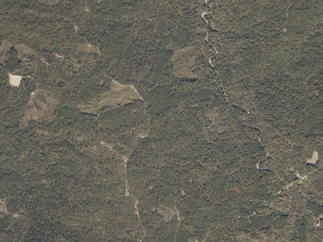Aerial image of Caston Creek WMA camp site 2
