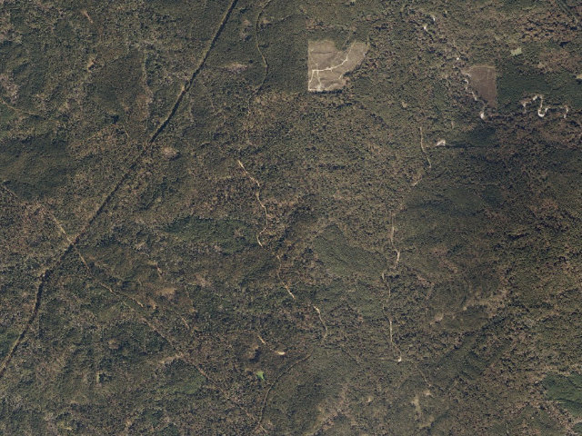 Aerial image of Caston Creek WMA camp site 3