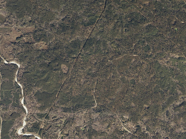 Aerial image of Caston Creek WMA camp site 4