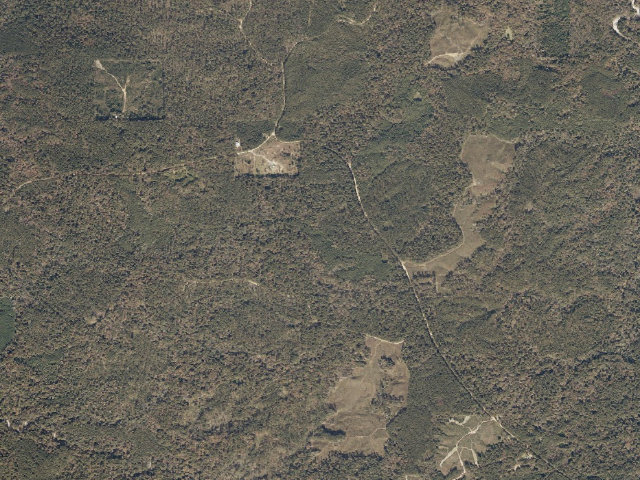 Aerial image of Caston Creek WMA camp site 5