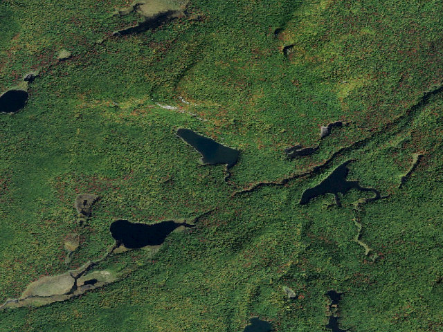 Aerial image of Cat Mountain Pond Campsite (Five Ponds Wilderness)
