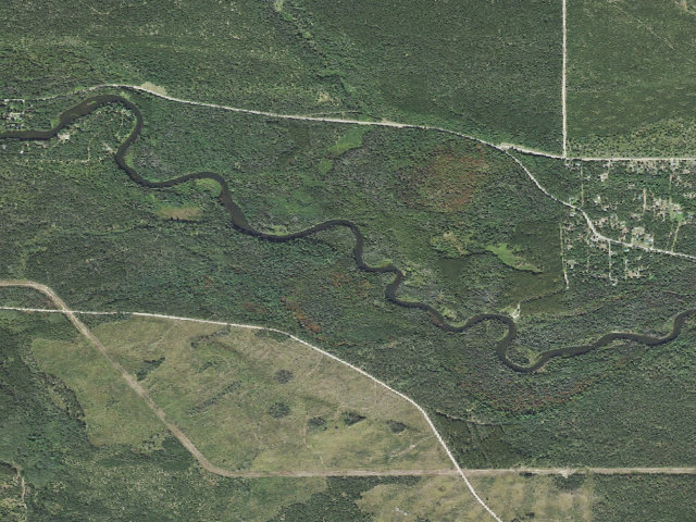 Aerial image of Cathedral Pines Backcountry Group Campsite