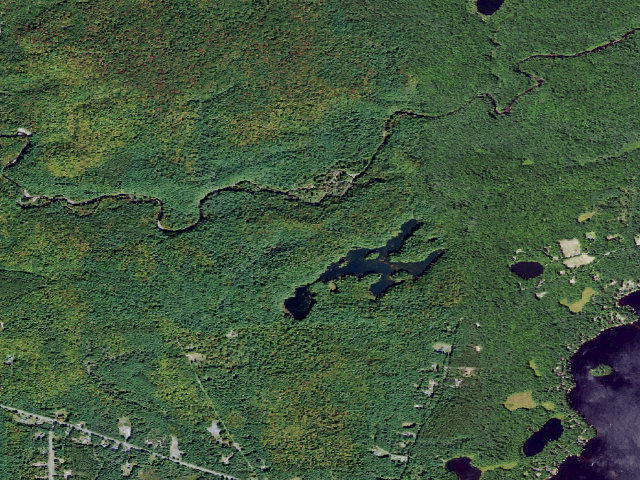 Aerial image of Catspaw Lake Campsite (Independence River Wild Forest)