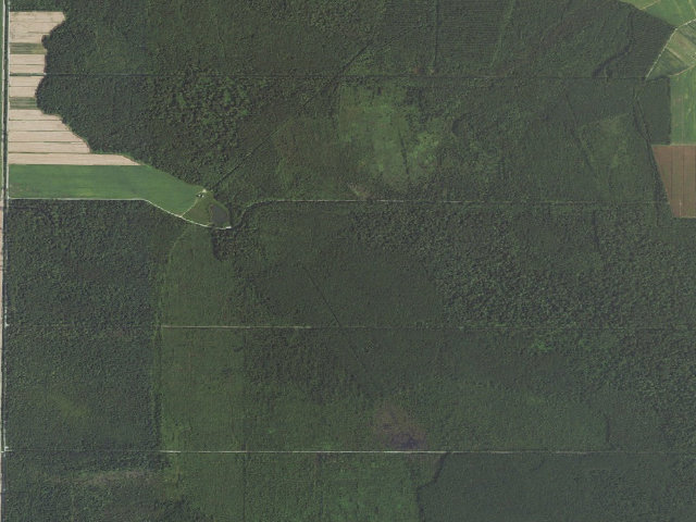 Aerial image of Cavalier WMA
