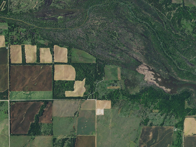 Aerial image of Cedar Camp (Canton WMA)