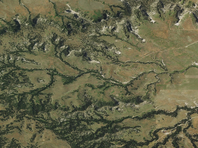 Aerial image of Cedar Canyon WMA
