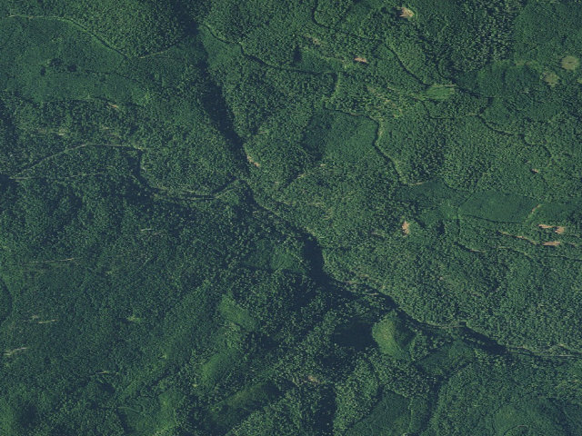 Aerial image of Cedar Creek Campground