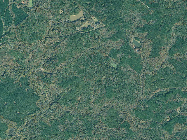 Aerial image of Cedar Creek WMA - Big Oak Hunt Camp