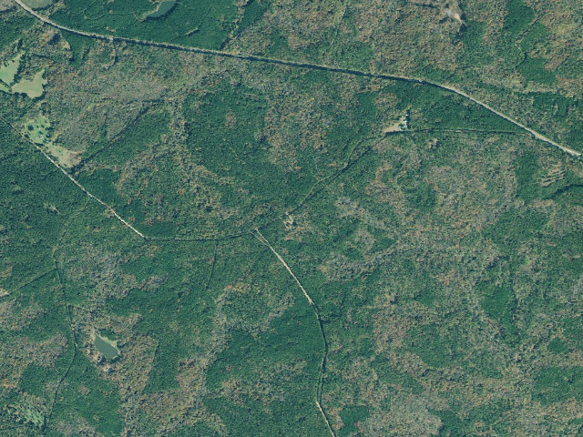 Aerial image of Cedar Creek WMA - Firetower Hunt Camp